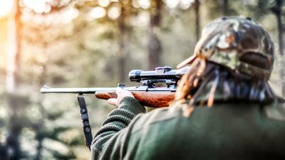 Dove Hunting Texas